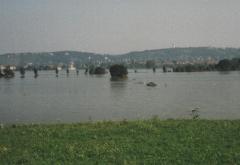 Elbe bei Cossebaude