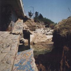 Dammbruch am Elbe-Park